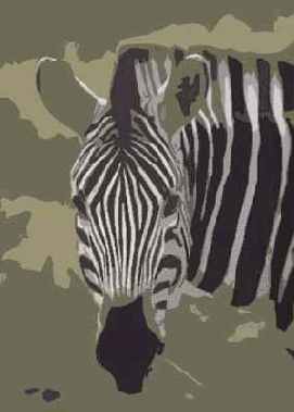 ������ Cutout